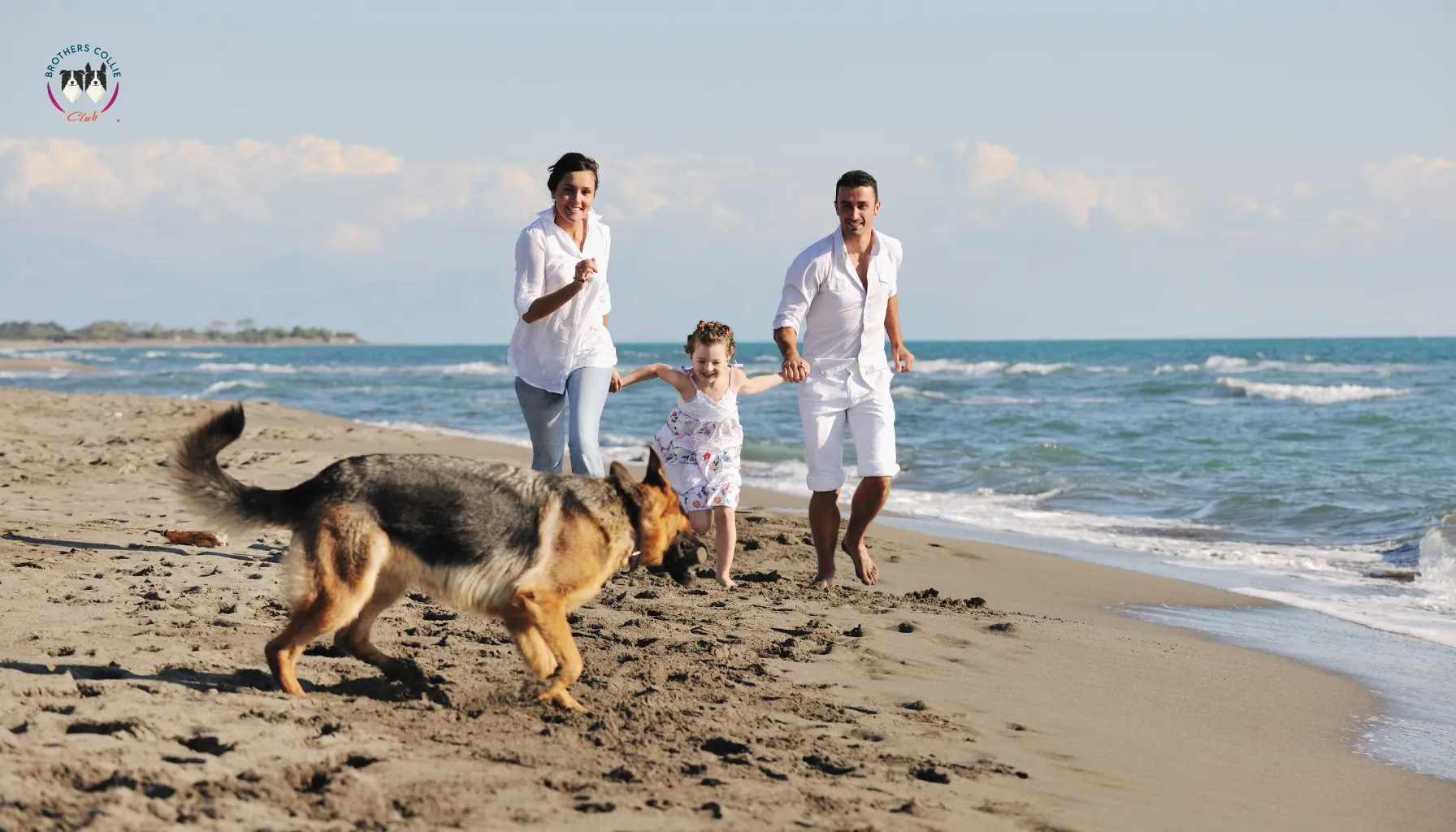 Actividades en familia con tu perrito para vacaciones